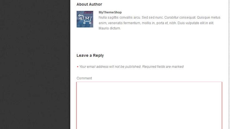 Diary WordPress Theme 4