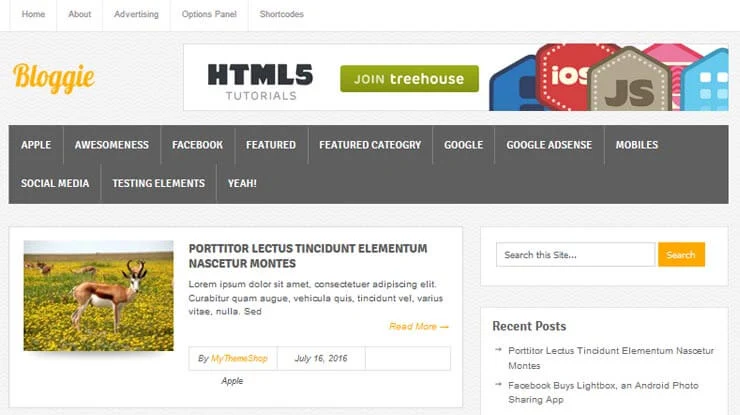 Bloggie WordPress Theme