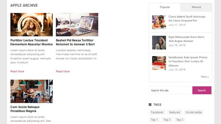Portal WordPress Theme 2