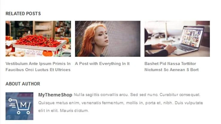 Portal WordPress Theme 3
