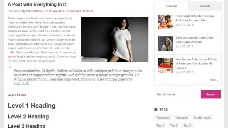 Portal WordPress Theme 5
