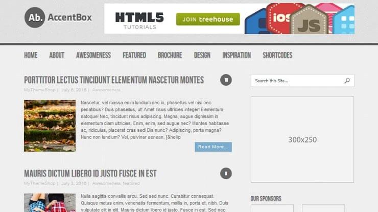 AccentBox WordPress Theme