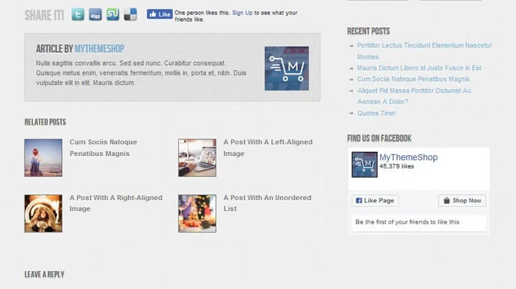 AccentBox WordPress Theme 4