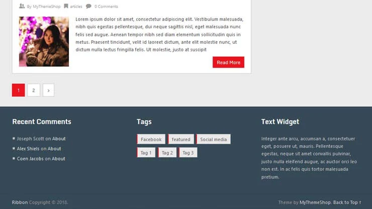 Ribbon WordPress Theme 3