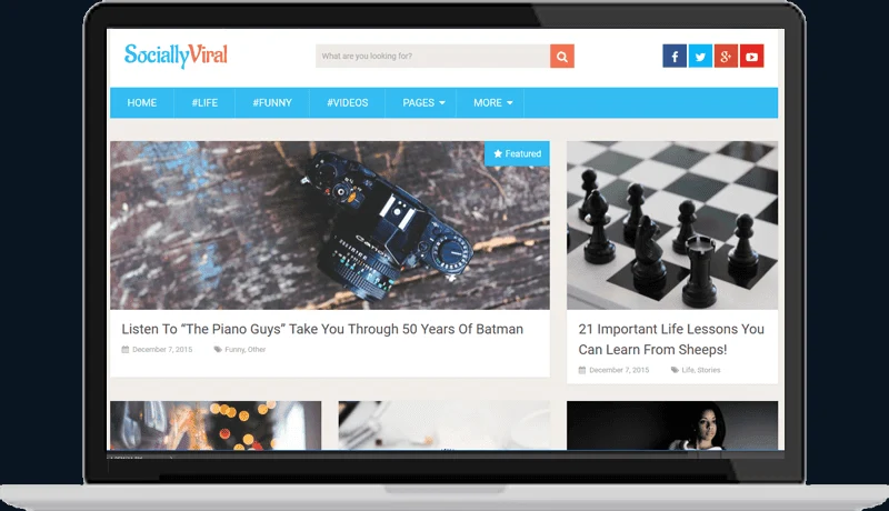 SociallyViral WordPress Theme