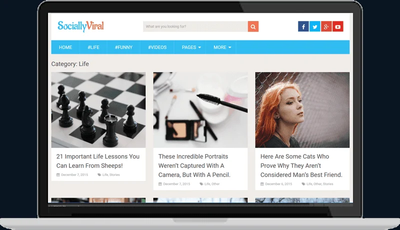 SociallyViral WordPress Theme 3