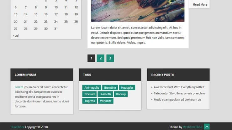 DualShock WordPress Theme 2