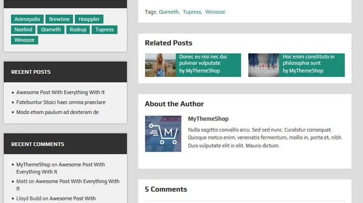 DualShock WordPress Theme 5