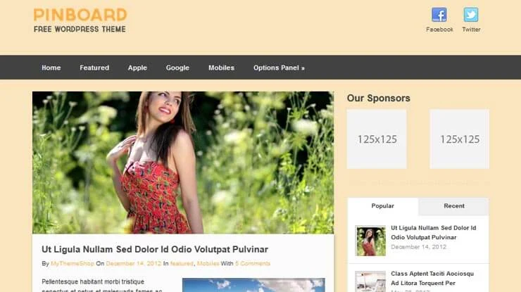 Pinboard WordPress Theme 3