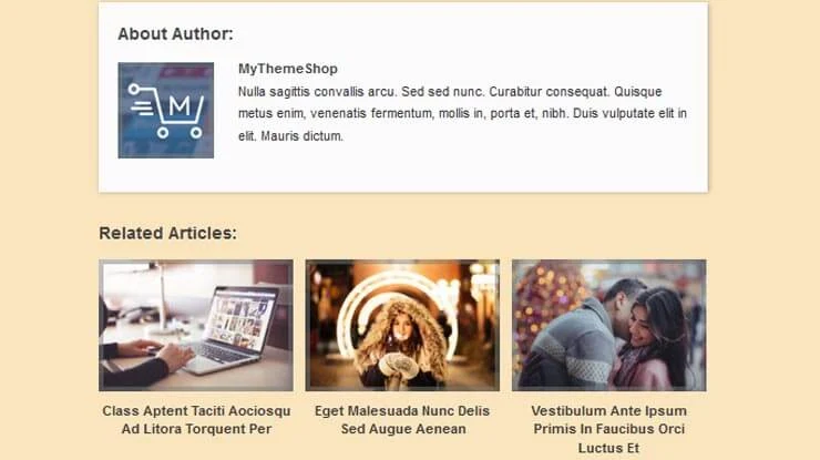 Pinboard WordPress Theme 4