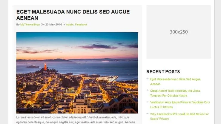 GreenChilli WordPress Theme 3