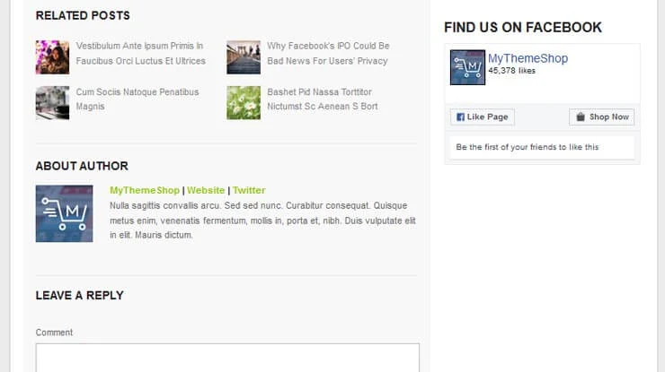 GreenChilli WordPress Theme 4