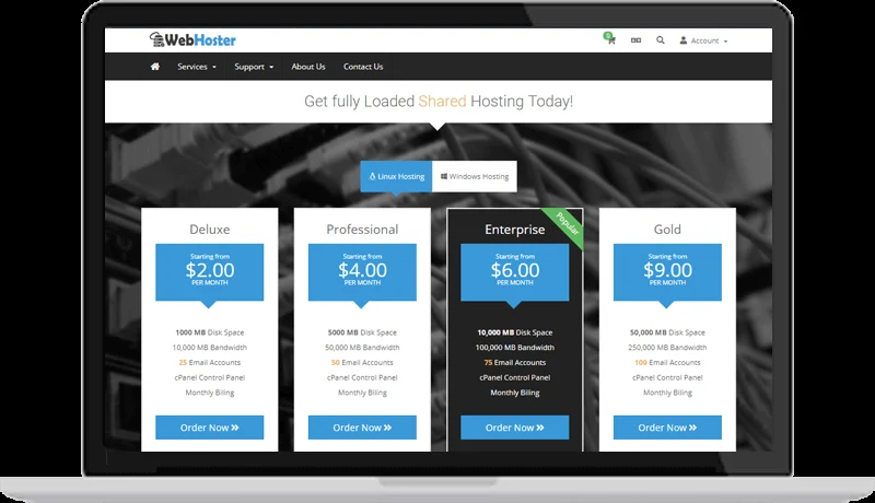 Web Hoster WHMCS Theme 3