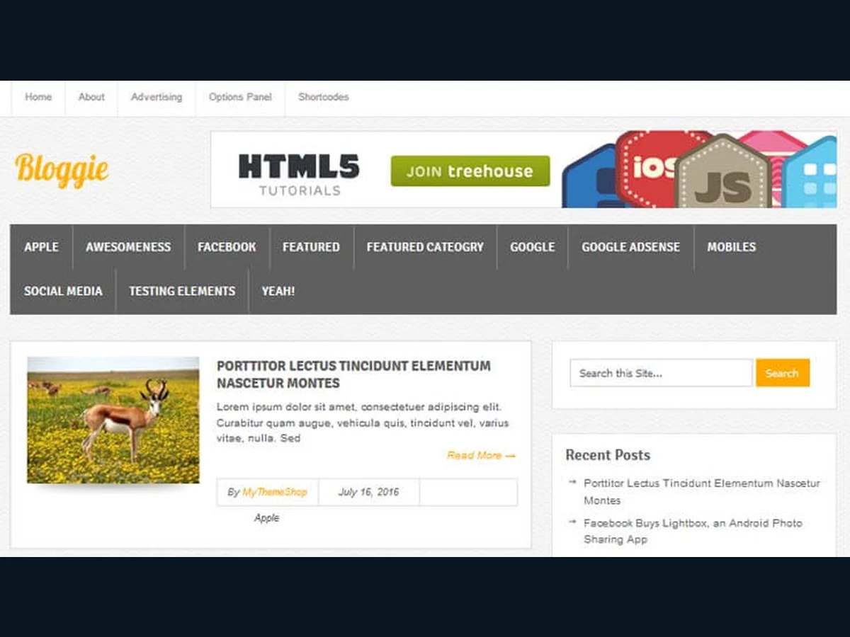 Bloggie WordPress Theme