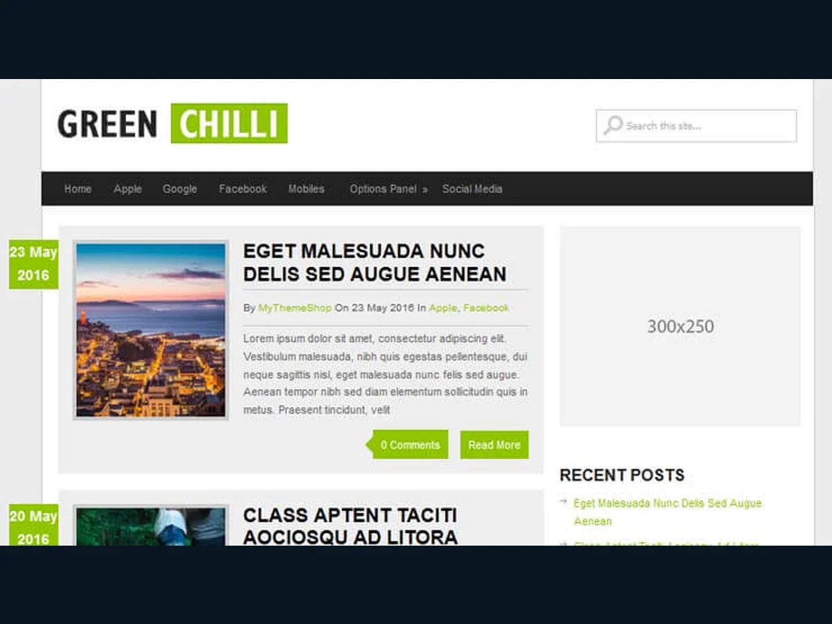 GreenChilli WordPress Theme